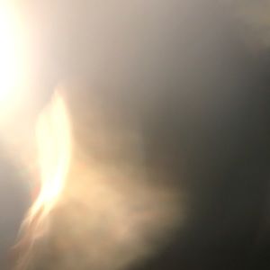 Meet your Posher, Steve